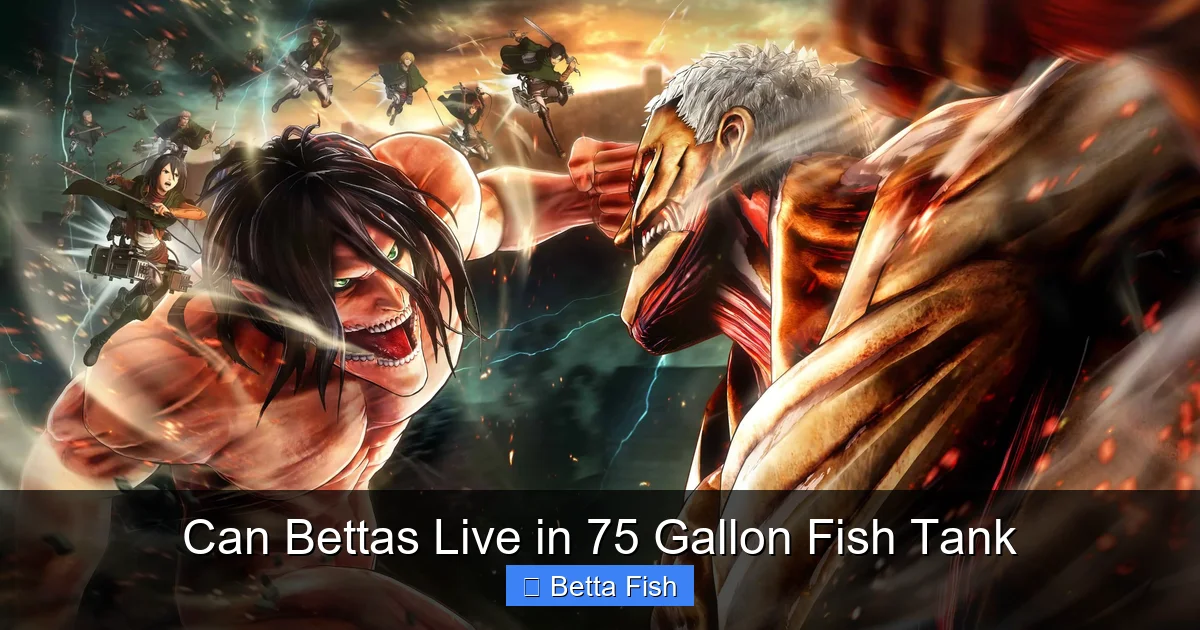 Can Bettas Live in 75 Gallon Fish Tank
