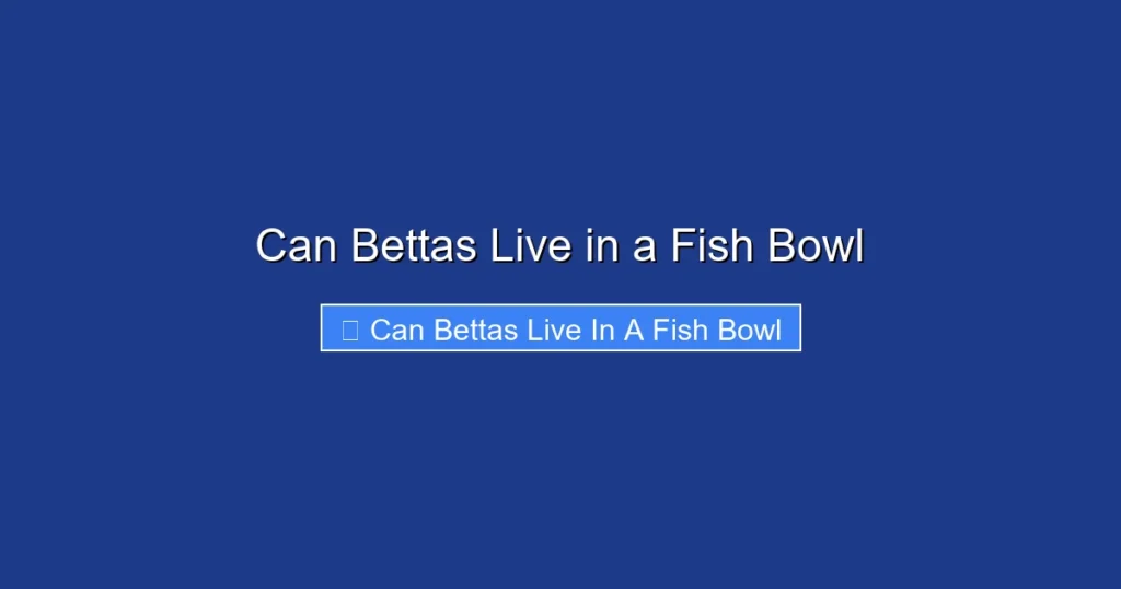Can Bettas Live in a Fish Bowl