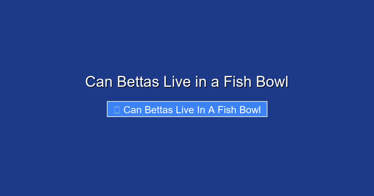 Can Bettas Live in a Fish Bowl
