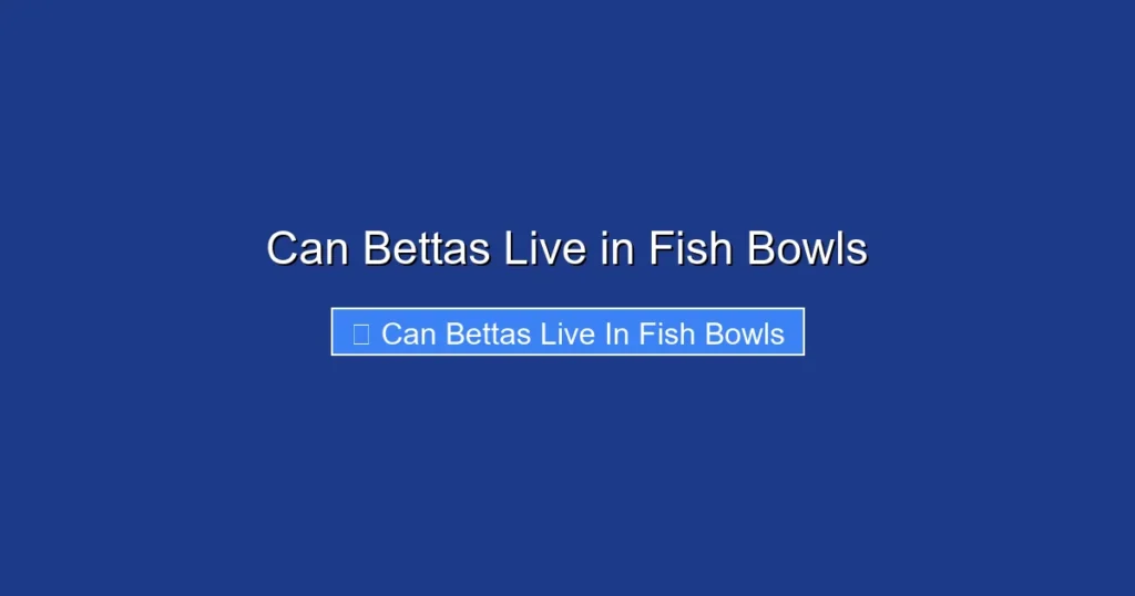 Can Bettas Live in Fish Bowls