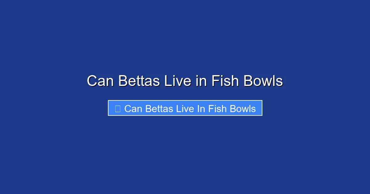 Can Bettas Live in Fish Bowls