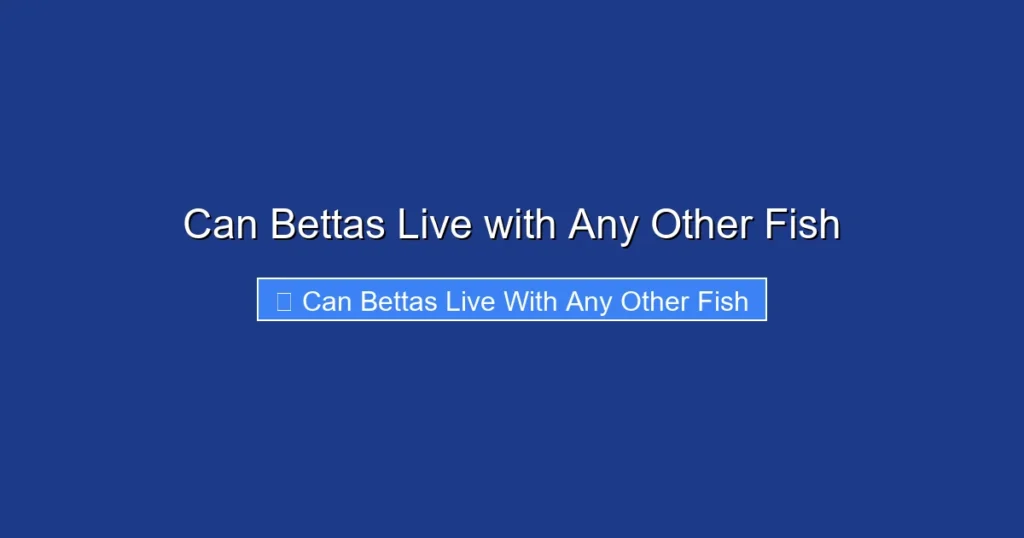 Can Bettas Live with Any Other Fish