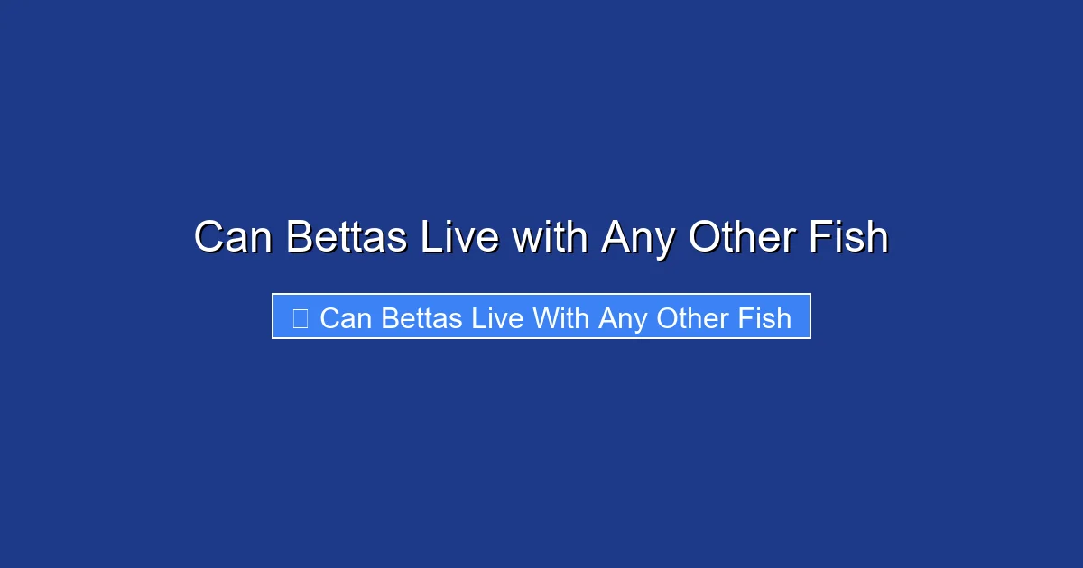 Can Bettas Live with Any Other Fish