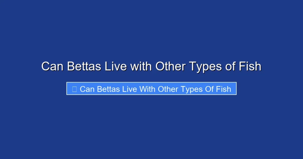 Can Bettas Live with Other Types of Fish