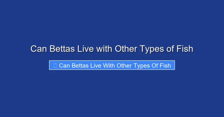 Can Bettas Live with Other Types of Fish
