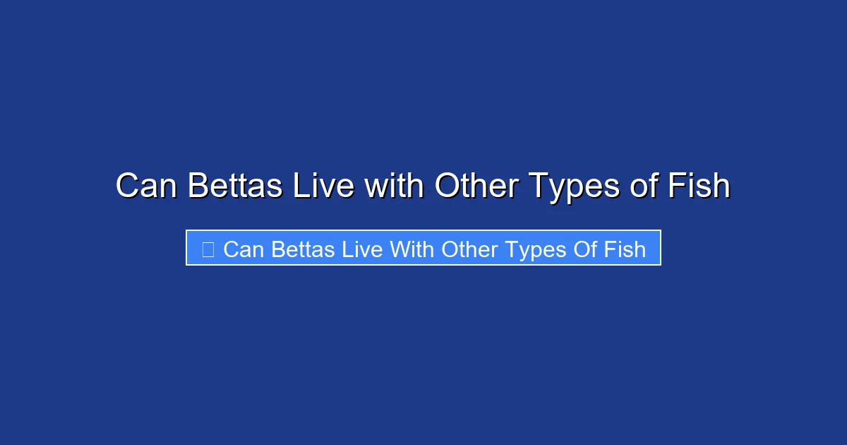 Can Bettas Live with Other Types of Fish