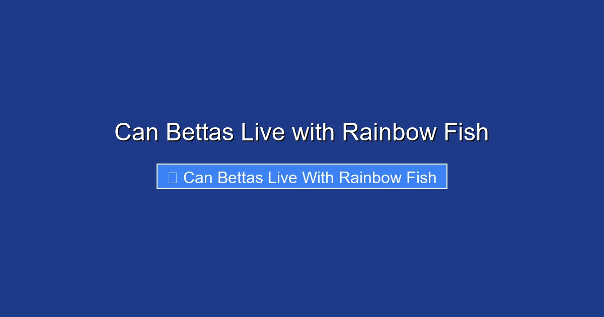 Can Bettas Live with Rainbow Fish