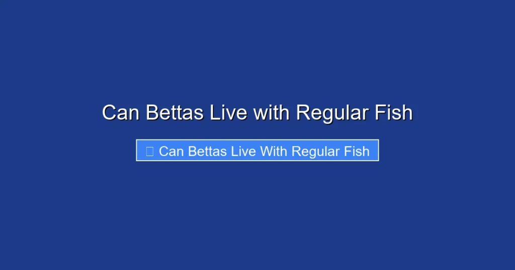 Can Bettas Live with Regular Fish
