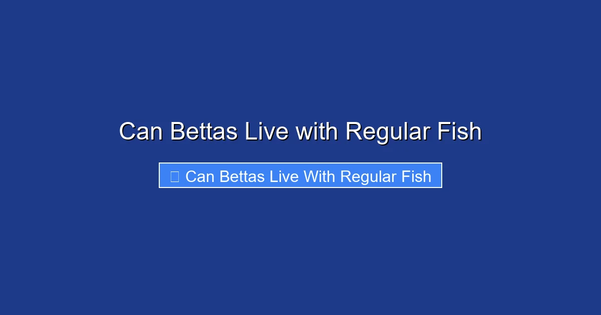 Can Bettas Live with Regular Fish