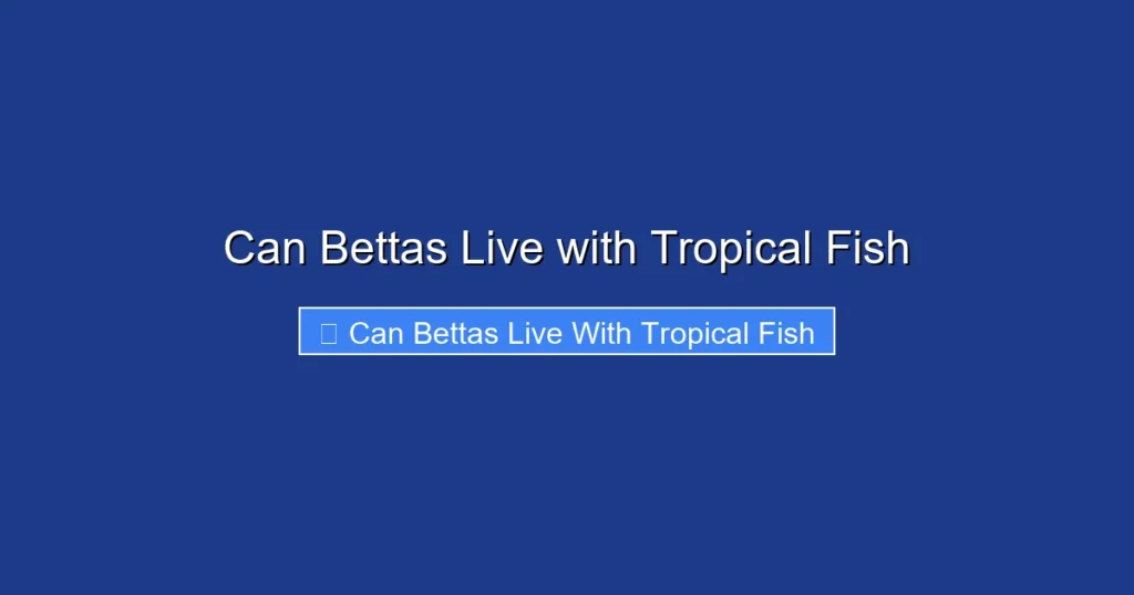 Can Bettas Live with Tropical Fish