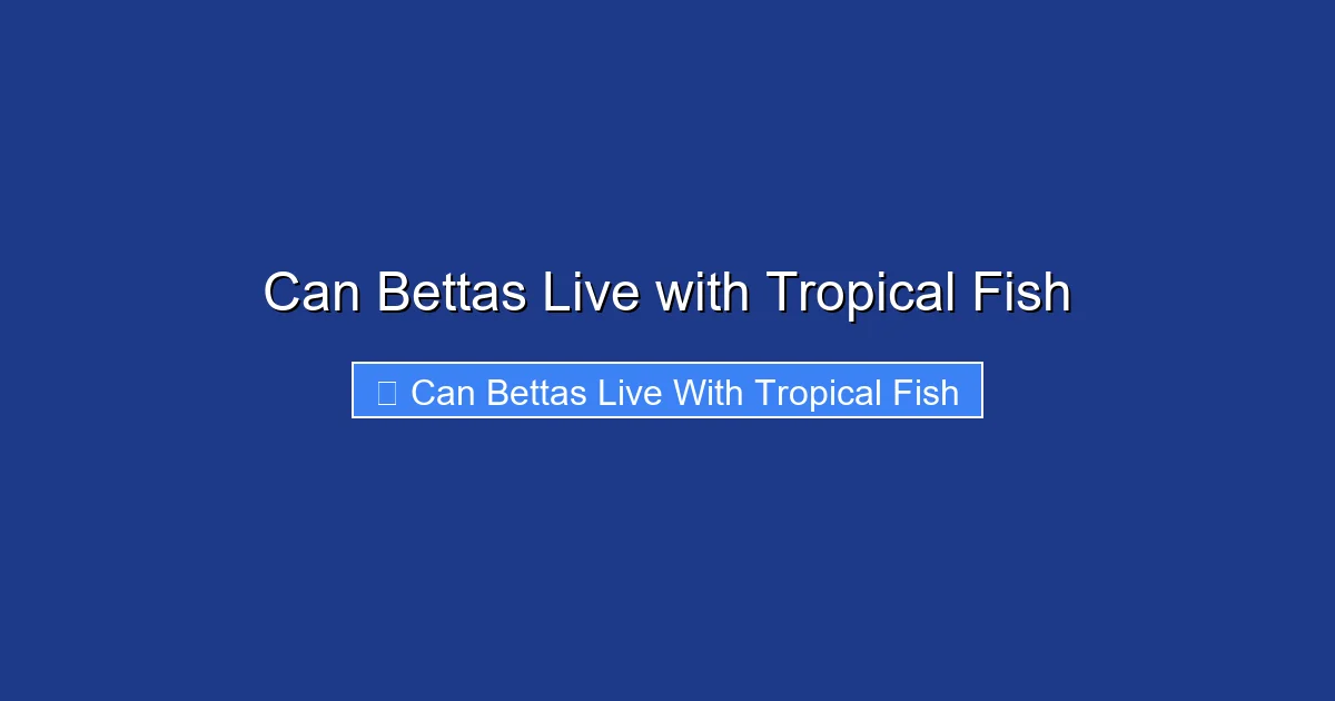 Can Bettas Live with Tropical Fish