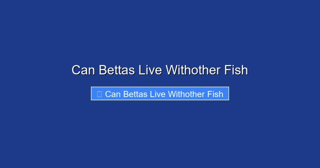Can Bettas Live Withother Fish