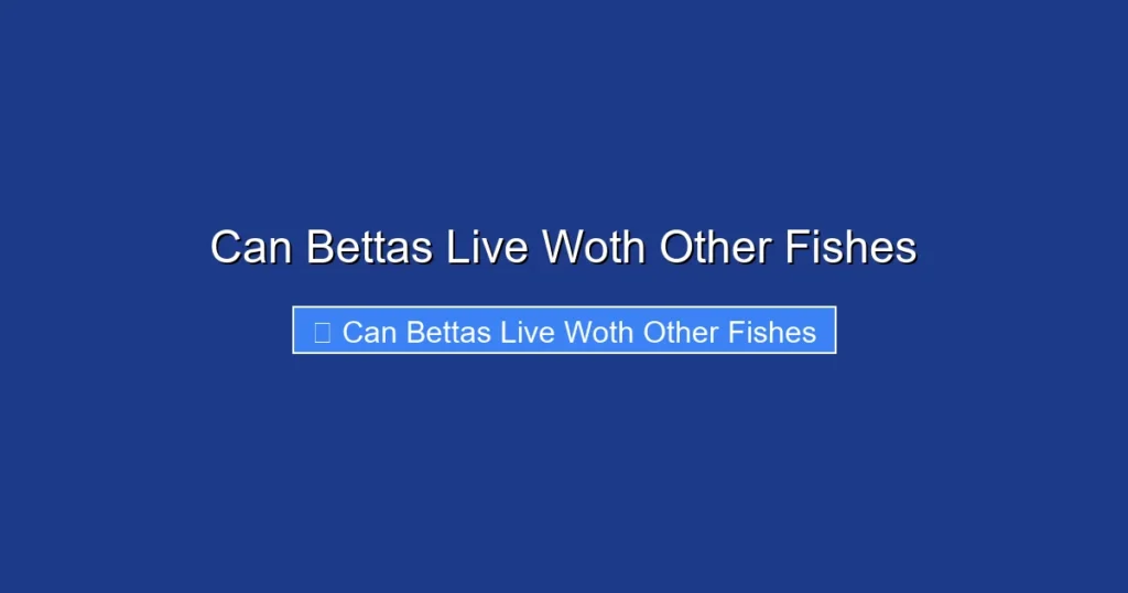 Can Bettas Live Woth Other Fishes