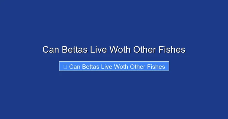 Can Bettas Live Woth Other Fishes