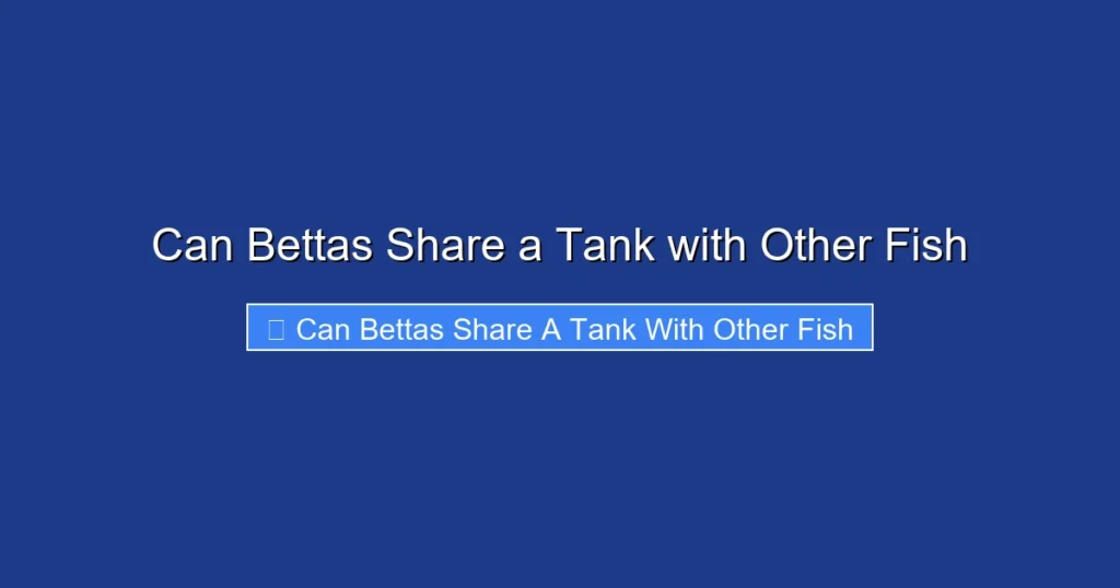 Can Bettas Share a Tank with Other Fish