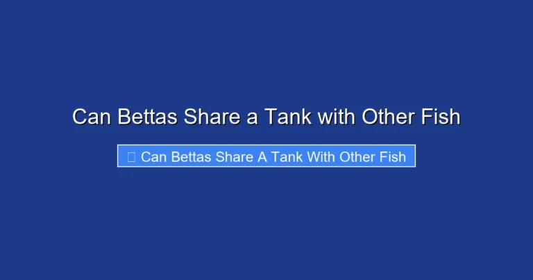 Can Bettas Share a Tank with Other Fish