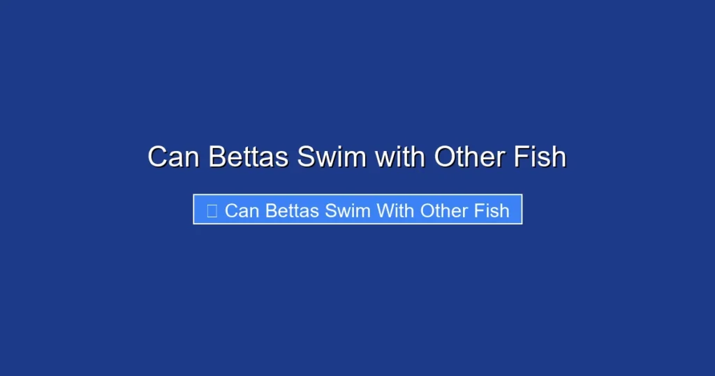 Can Bettas Swim with Other Fish