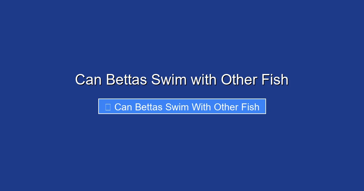 Can Bettas Swim with Other Fish