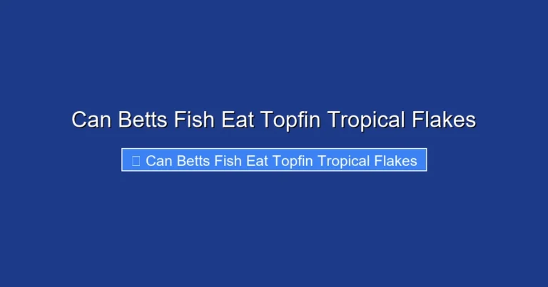 Can Betts Fish Eat Topfin Tropical Flakes