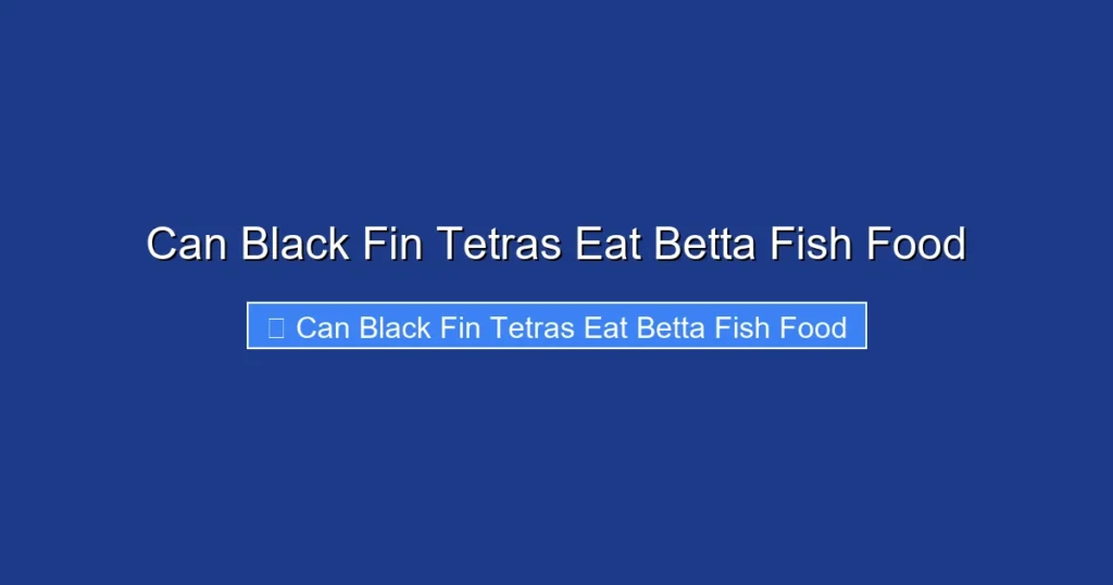 Can Black Fin Tetras Eat Betta Fish Food