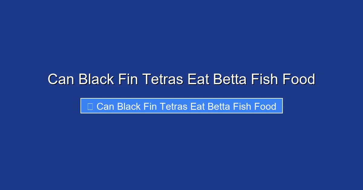 Can Black Fin Tetras Eat Betta Fish Food