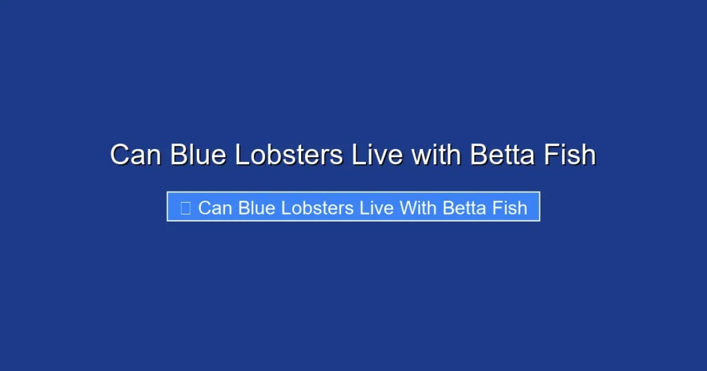 Can Blue Lobsters Live with Betta Fish