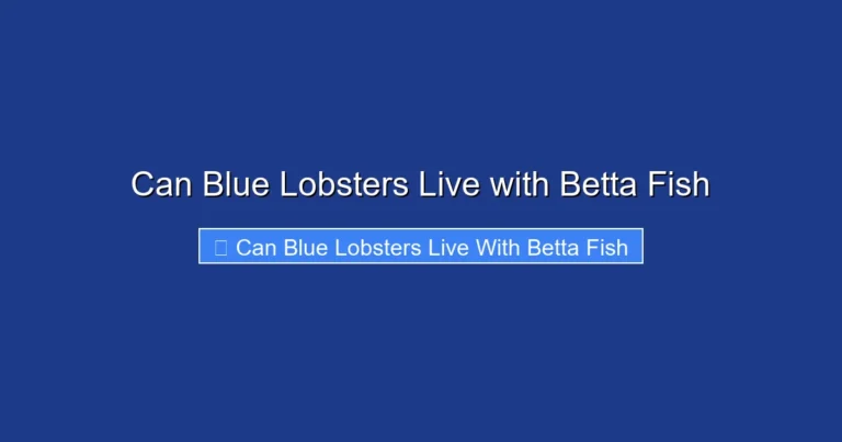 Can Blue Lobsters Live with Betta Fish