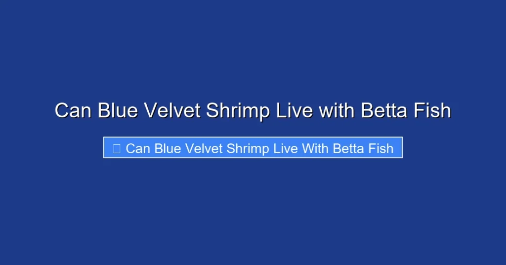 Can Blue Velvet Shrimp Live with Betta Fish
