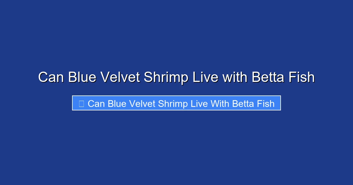 Can Blue Velvet Shrimp Live with Betta Fish