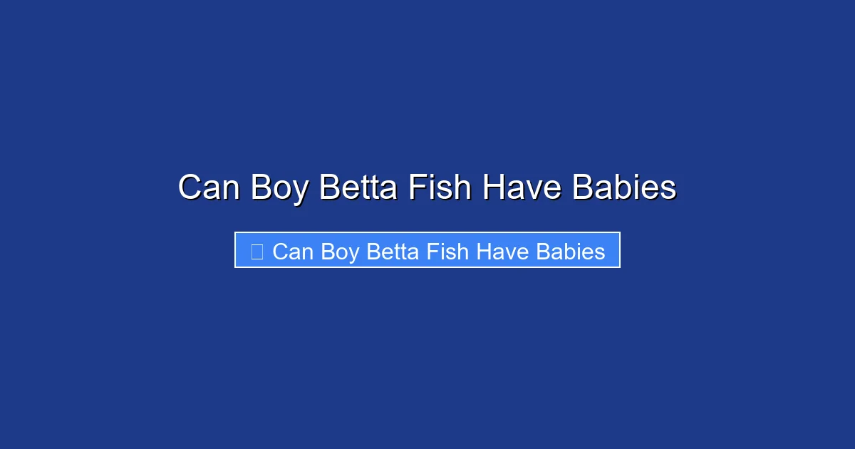 Can Boy Betta Fish Have Babies