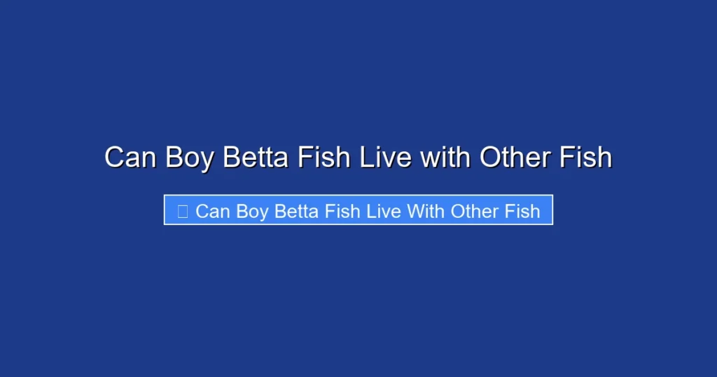 Can Boy Betta Fish Live with Other Fish