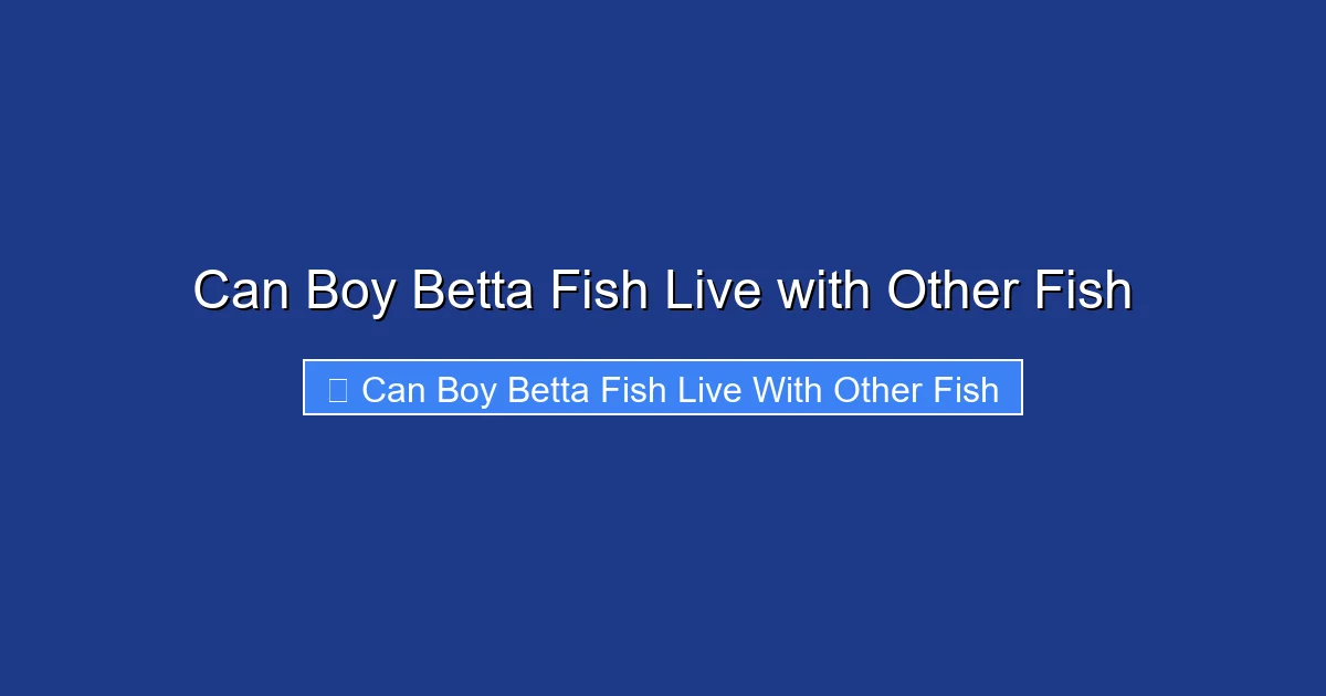 Can Boy Betta Fish Live with Other Fish