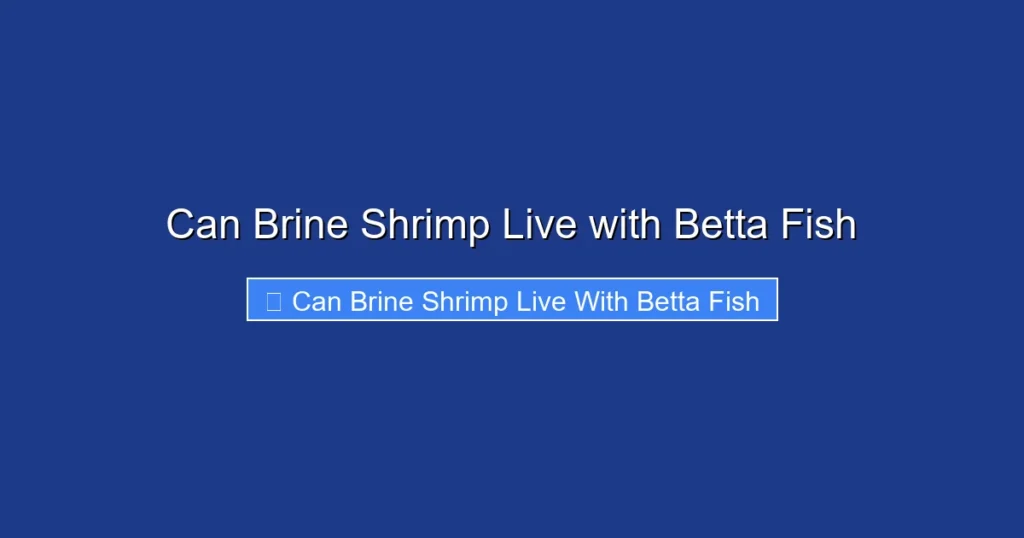 Can Brine Shrimp Live with Betta Fish