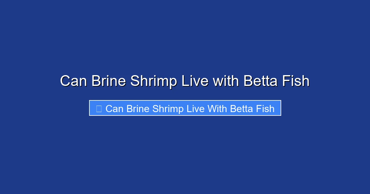Can Brine Shrimp Live with Betta Fish