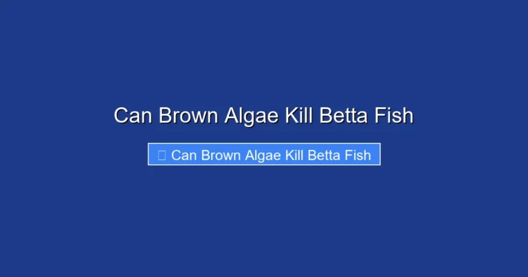 Can Brown Algae Kill Betta Fish