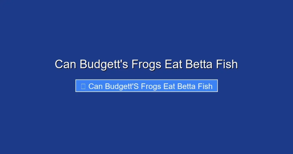 Can Budgett's Frogs Eat Betta Fish