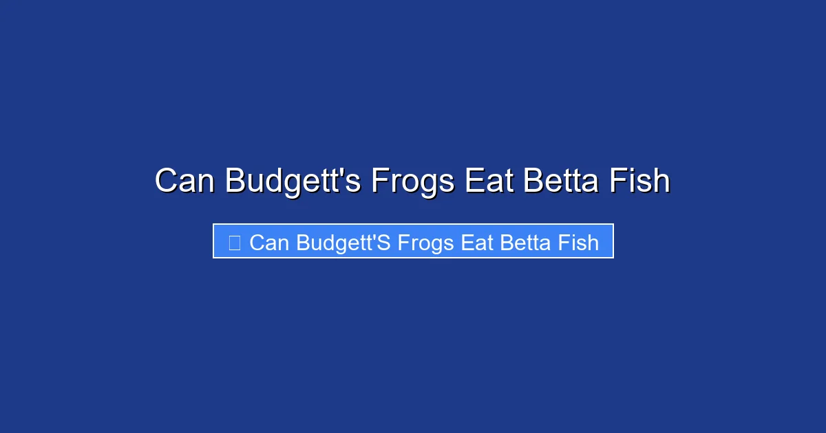 Can Budgett's Frogs Eat Betta Fish