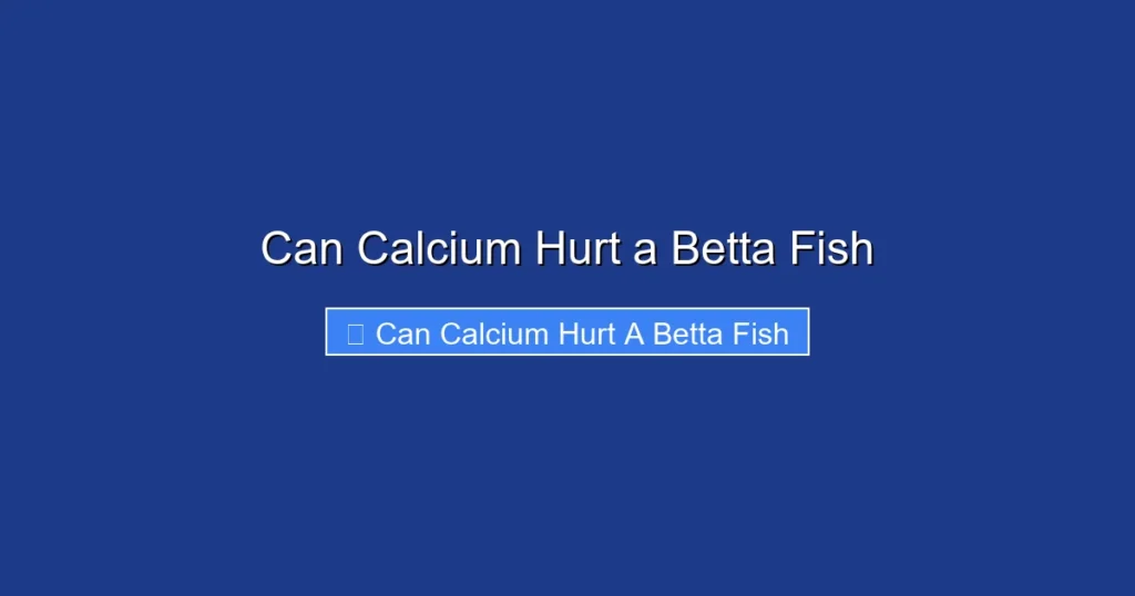 Can Calcium Hurt a Betta Fish