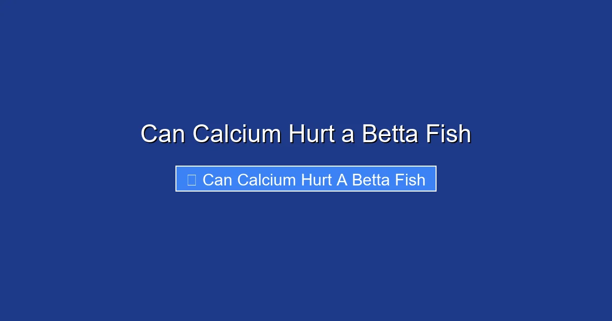 Can Calcium Hurt a Betta Fish