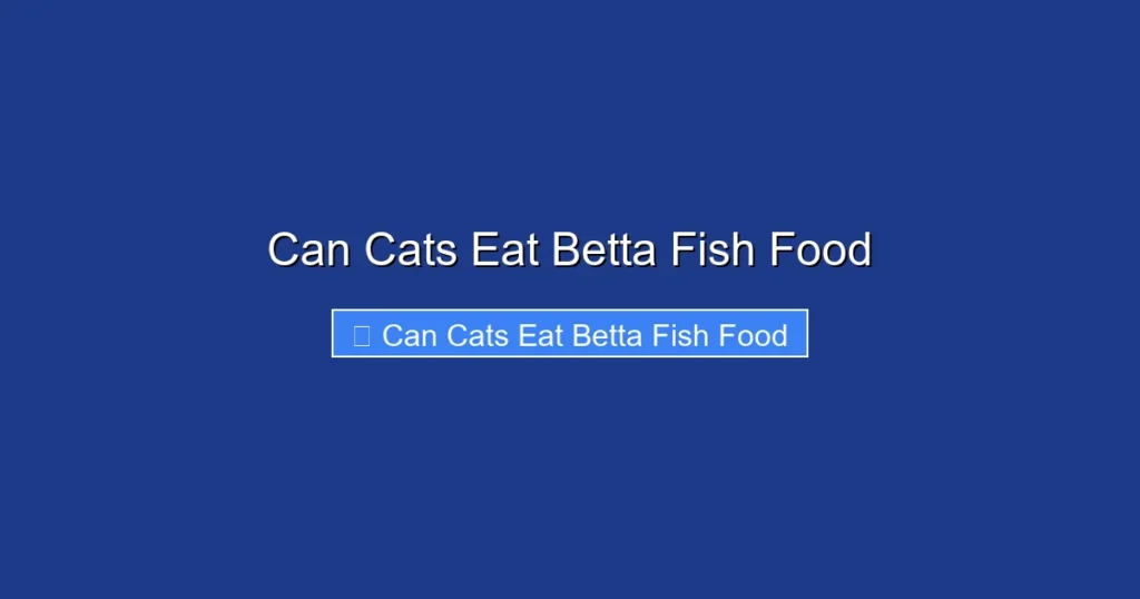 Can Cats Eat Betta Fish Food