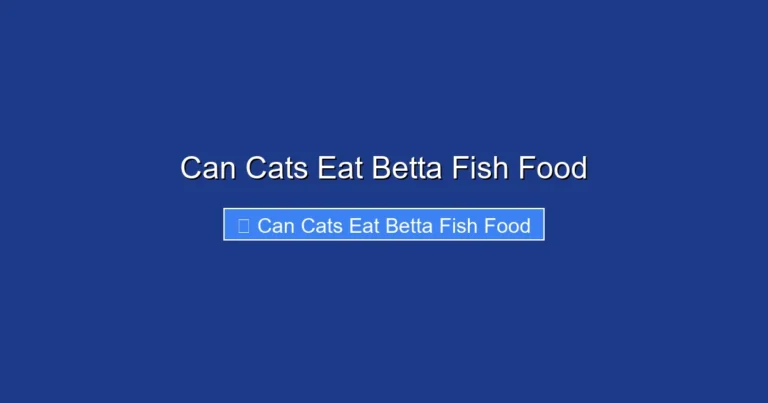 Can Cats Eat Betta Fish Food