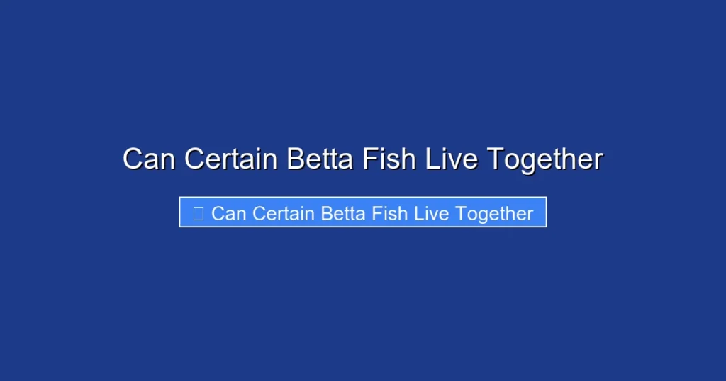 Can Certain Betta Fish Live Together