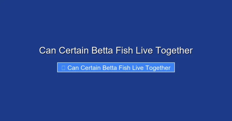 Can Certain Betta Fish Live Together