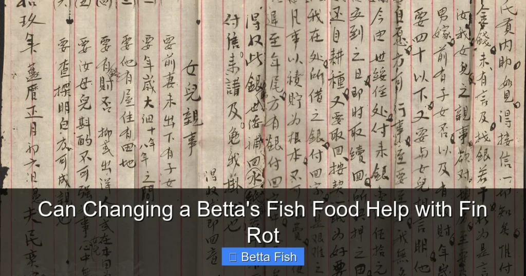 Can Changing a Betta's Fish Food Help with Fin Rot