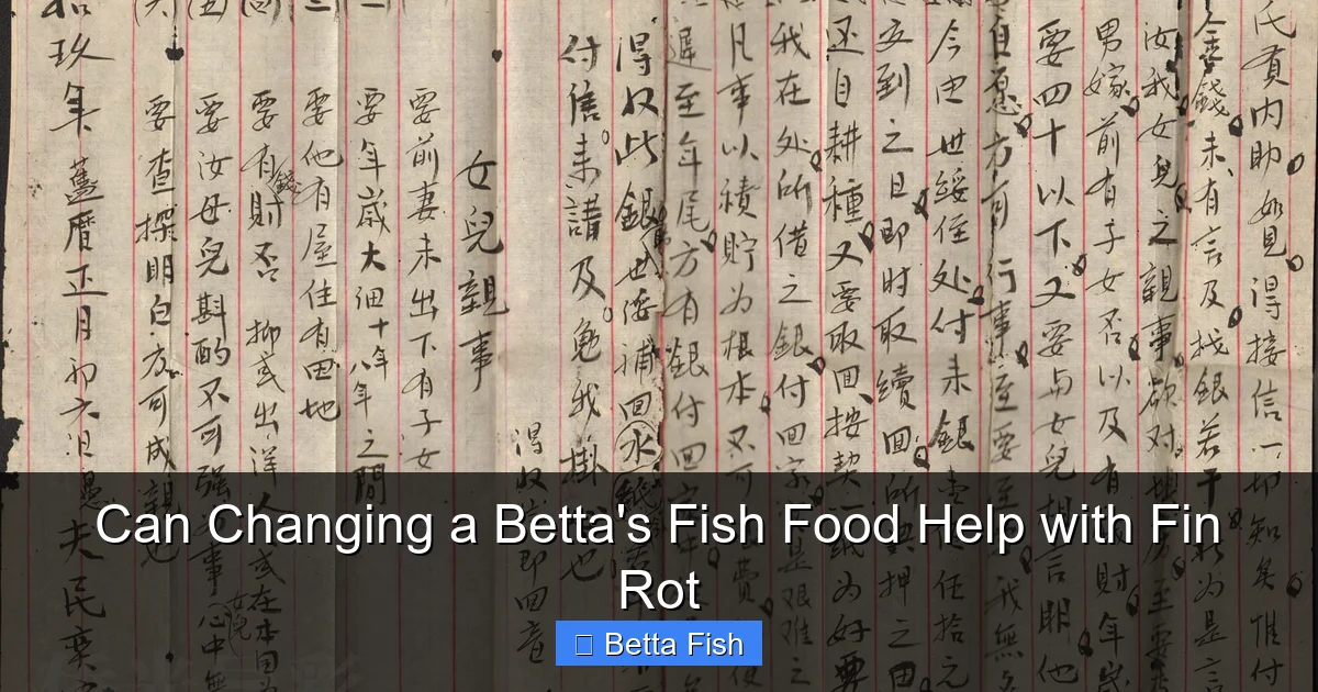 Can Changing a Betta's Fish Food Help with Fin Rot