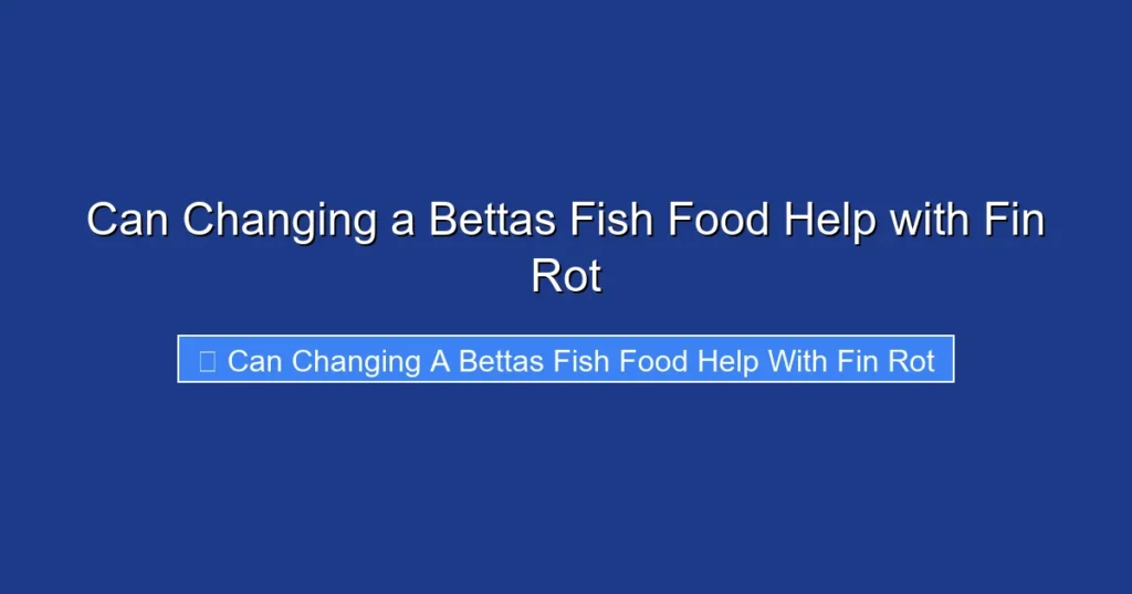 Can Changing a Bettas Fish Food Help with Fin Rot