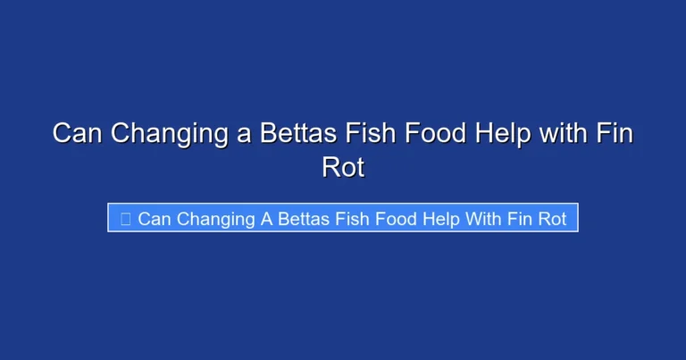 Can Changing a Bettas Fish Food Help with Fin Rot
