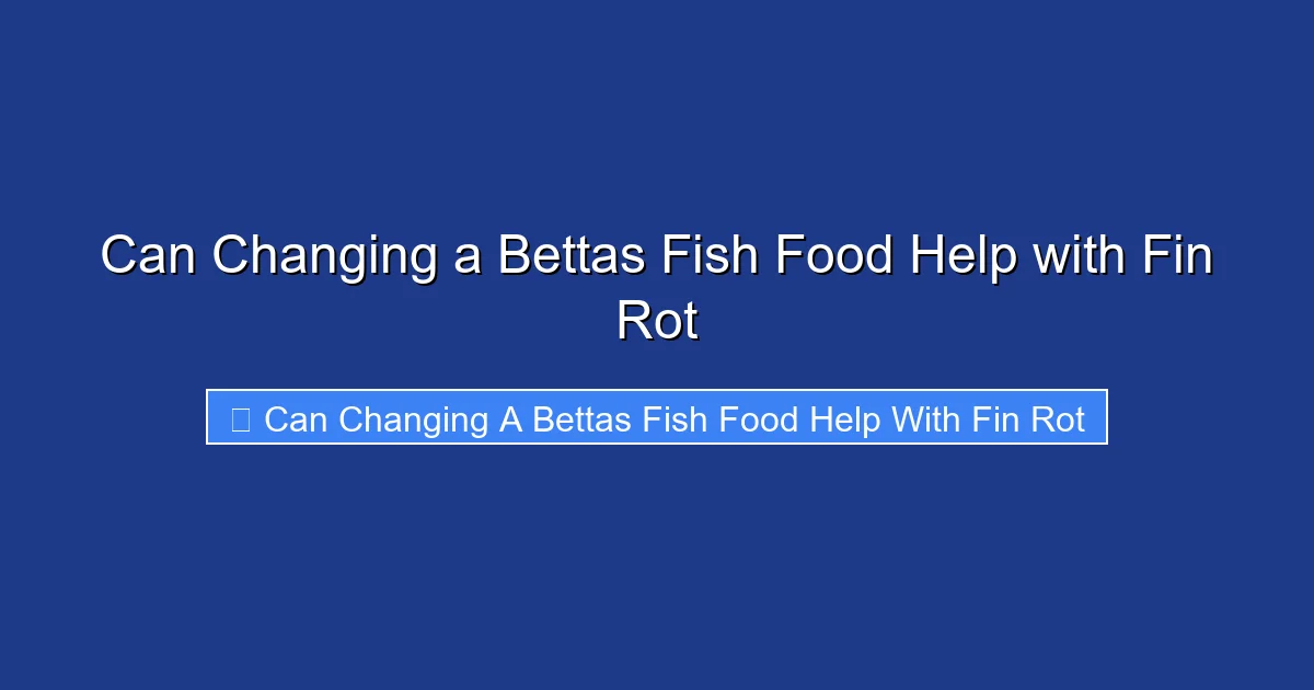 Can Changing a Bettas Fish Food Help with Fin Rot