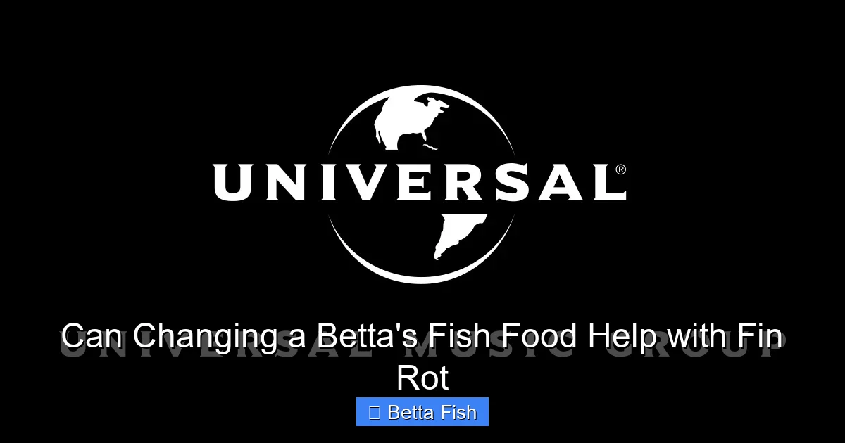 Can Changing a Betta's Fish Food Help with Fin Rot