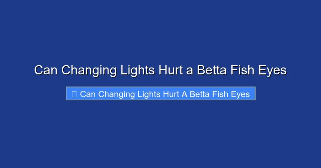 Can Changing Lights Hurt a Betta Fish Eyes